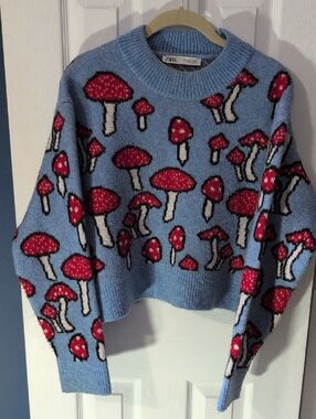 ZARA Light Blue Crewneck Sweater with Red Mushroom Motif